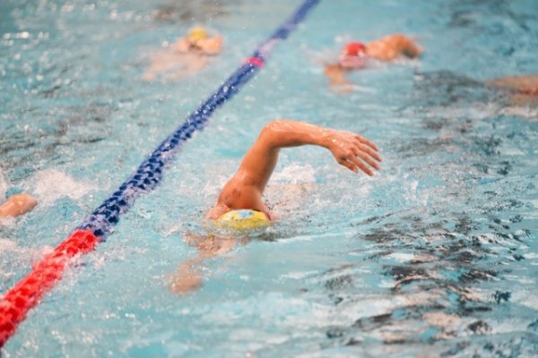 swimmeeting 2024