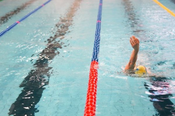 swimmeeting 2024