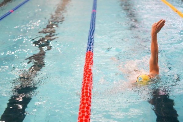 swimmeeting 2024