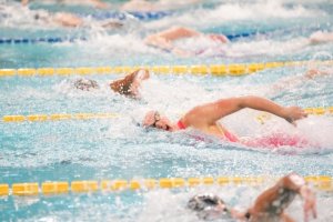 swimmeeting 2024