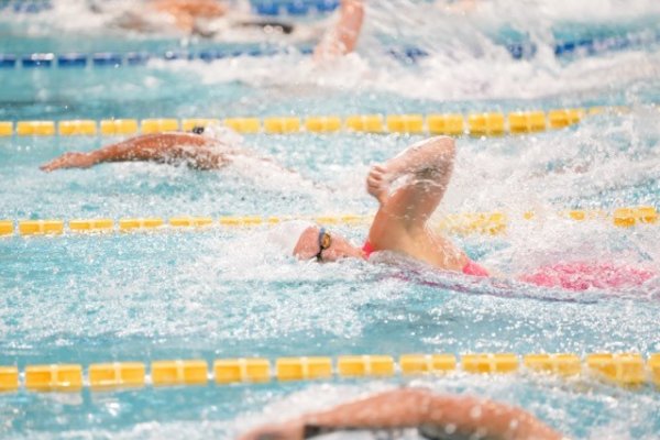 swimmeeting 2024