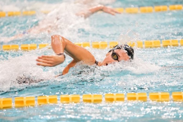 swimmeeting 2024