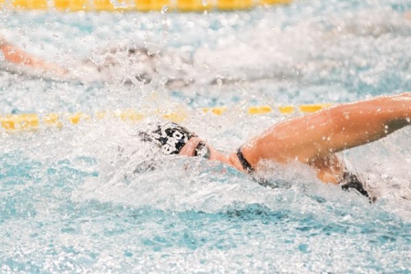 swimmeeting 2024