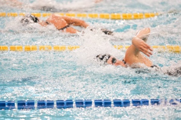 swimmeeting 2024
