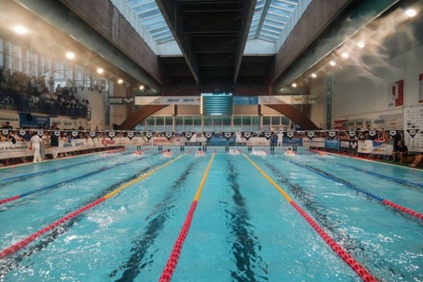 swimmeeting 2024