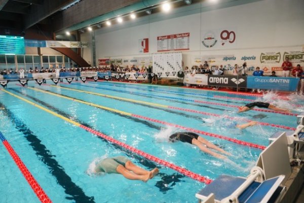 swimmeeting 2024