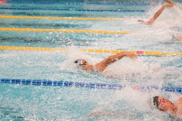swimmeeting 2024