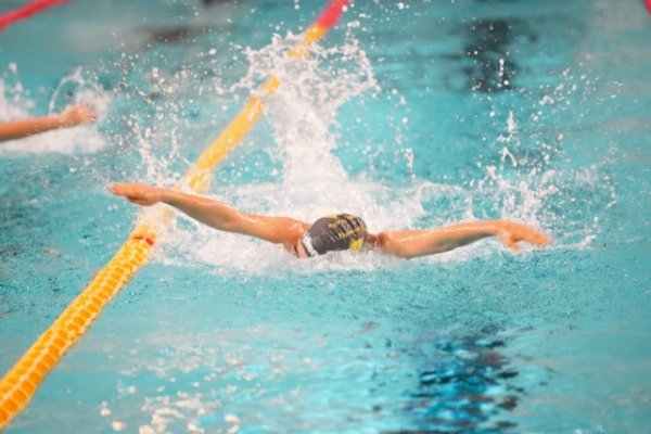 swimmeeting 2024