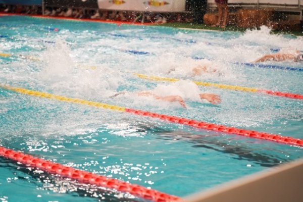 swimmeeting 2024