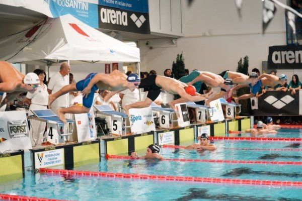 swimmeeting 2024