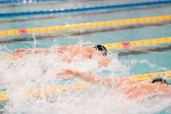 swimmeeting 2024